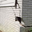 foundation walls cracked due to settlement in Boston