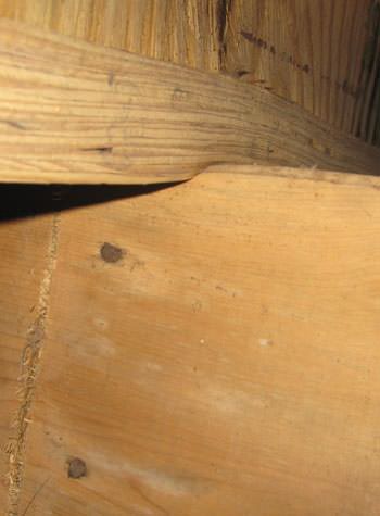 severe damage to a crawl space structure in a Westerly home