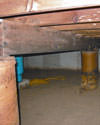Mold and rot thriving in a dirt floor crawl space in Newport