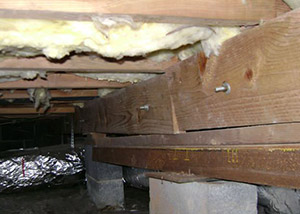 A sagging crawl space with concrete supports and wooden shimming a Milton crawl space