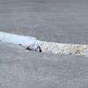 Slab floor cracks showing in a Attleboro home