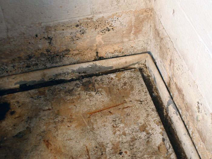 Installing An Effective Weeping Tile System In South Of Boston