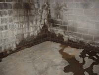 flooded basement with leaky basement walls in Westport, MA and RI