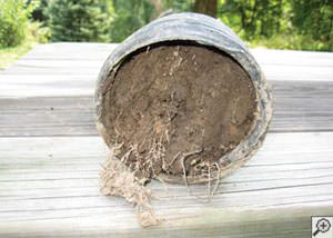 clogged french drain found in Hyannis, Massachusetts and Rhode Island
