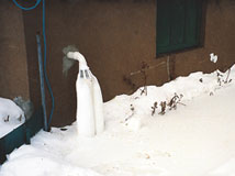 IceGuard® Installed Cranston